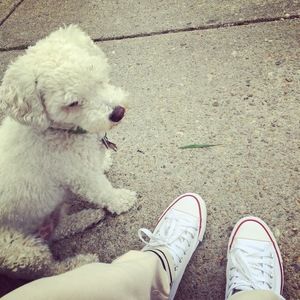 Meet your Posher, Gerson